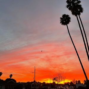 Meet your Posher, Maya